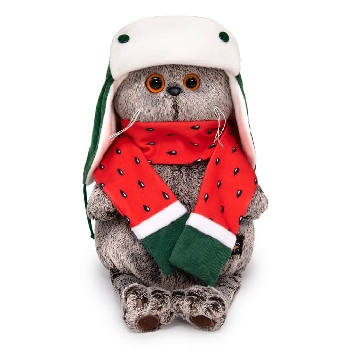 Басик в двусторонней шапке и шарфе