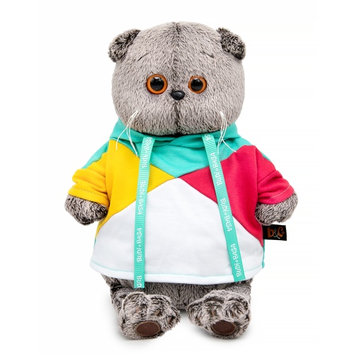 Басик в разноцветной толстовке