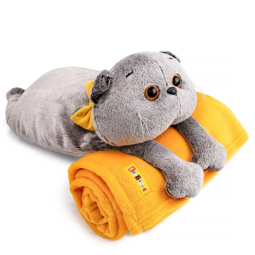 Кот Басик с пледом