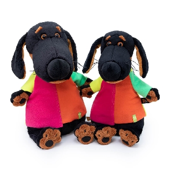 Ваксон в разноцветной футболке