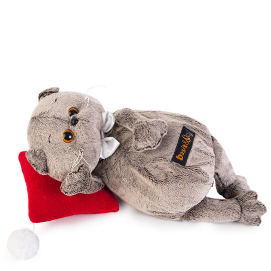 Басик в бабочке на красной подушке