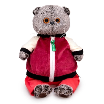 Басик в спортивной курточке и штанах