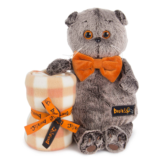 Басик с пледом