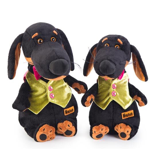 Ваксон в жилетке