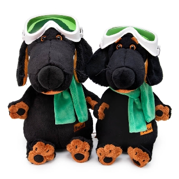 Ваксон в горнолыжных очках