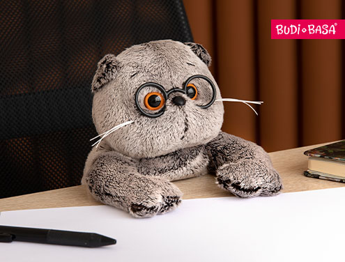 Август с БУДИ БАСА: уют, стиль и новые герои!