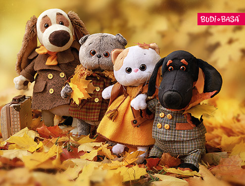 Лицензирование. Новые возможности для партнеров БУДИ БАСА!