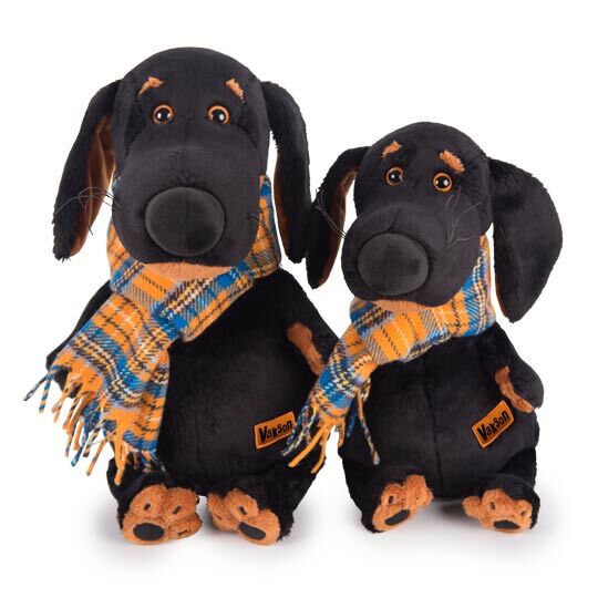 Ваксон в шарфе