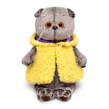 Басик в жилете с капюшоном