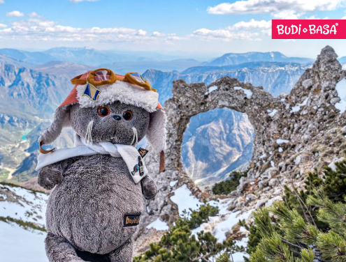 С днем рождения, Басик-путешественник!