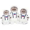Басик в костюме космонавта