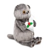 Кот Басик с весенним сердцем