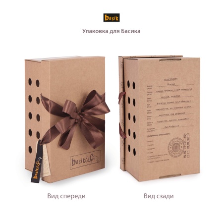 Басик Пират